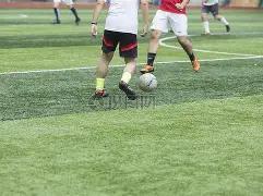 期大乐透独,家揭秘,前区绝杀号,上海体彩,上海体彩网,上海体彩网官网,体育彩票,体彩大乐透,竞彩足球,体彩公益