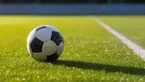 【醇香一盏】2026年双色球013期揭秘：红球精准五胆，实力派推荐，大奖在望！