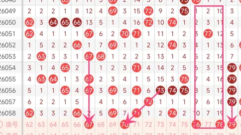 2026052期大乐透专家阿力胆码推荐分析
