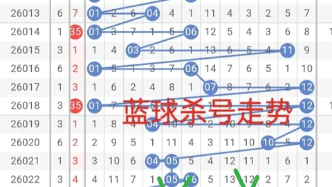 双色球2026022期专家推荐：黄金选择杀码定号策略