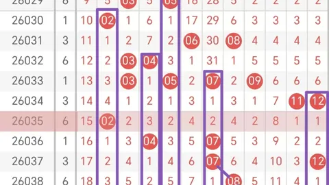 2026078期 大乐透期号四胆全拖预测 名家汇总推荐四胆